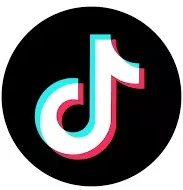 tiktok-video-downloader.webp